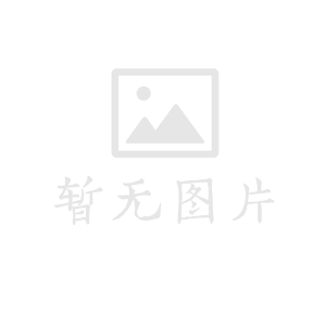 ZEPHON v1.1.0 豪华中文版